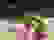 item-102433127=2