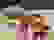item-102433127=4