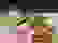 item-102433127=5