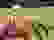 item-102433128=2