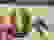 item-102433128=3