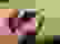 item-102433138=6