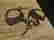item-102433144=4