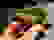 item-102433254=3