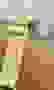 item-102436225=4