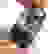 item-102436384=2
