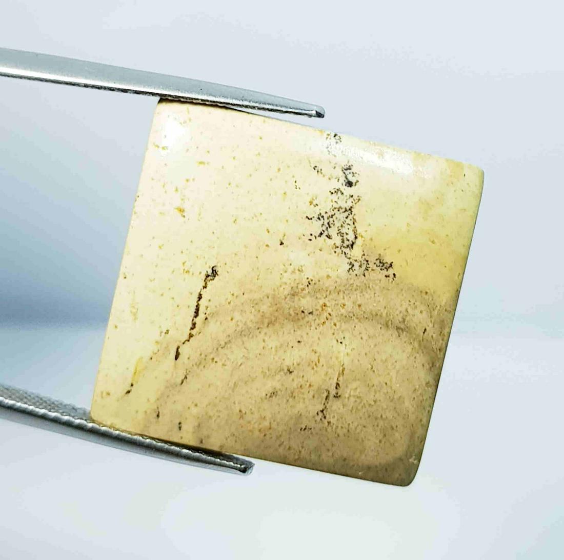 23.10 ct Natural Picture Jasper: No Reserve! Title: 23.10 ct Natural Picture Jasper Color/Clarity: Opaque Gemstones: Gemstones Carat Weights: 23.1 Size/Dimensions: 22.70 x 22.70 x 4.60 Additional Information: Square - Brazil Shipping