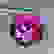 item-102436858=3
