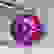 item-102436858=4