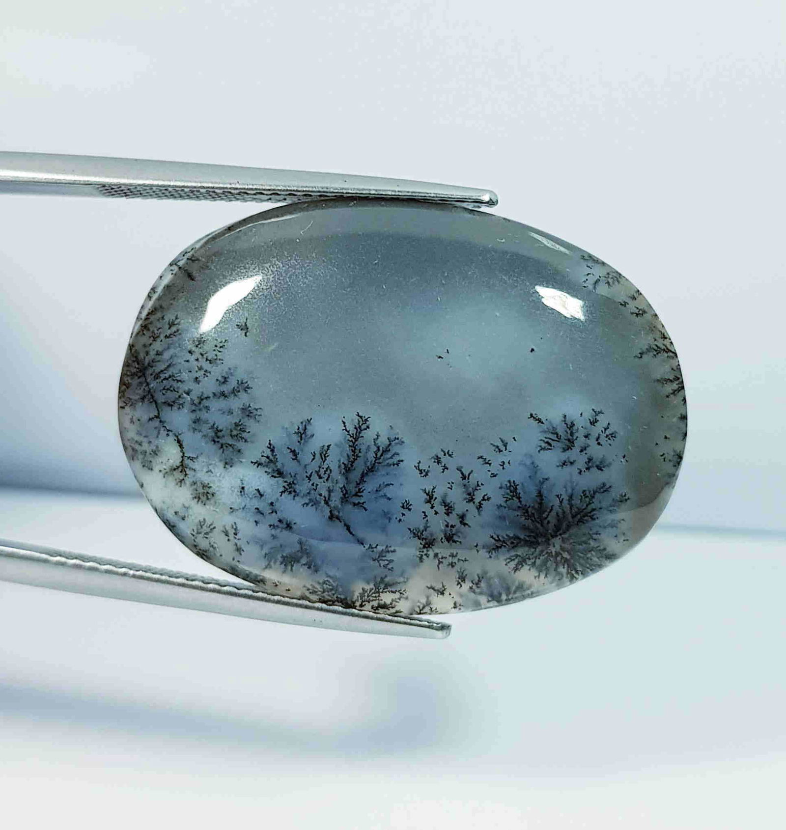 25.65 Ct Natural Dendrite Opal (1 of 4)