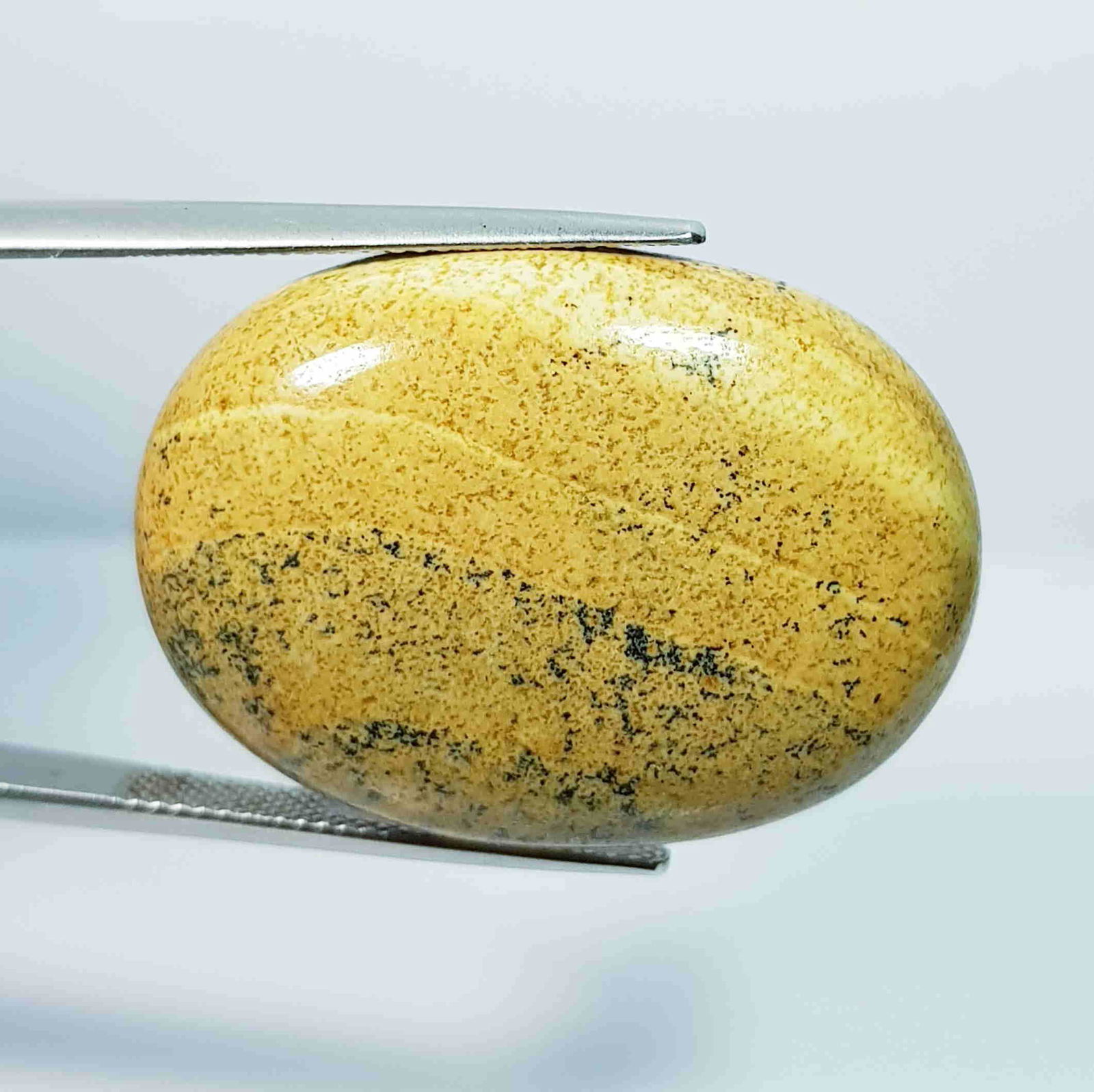 45.05 ct Natural Picture Jasper: No Reserve! Title: 45.05 ct Natural Picture Jasper Color/Clarity: Opaque Gemstones: Gemstones Carat Weights: 45.05 Size/Dimensions: 25.75 x 16.50 x 7.95 Additional Information: Oval - Brazil Shipping: