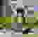 item-102492166=3