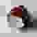 item-102492168=2