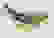 item-102492171=5
