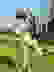 item-102492175=2