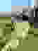 item-102492175=3