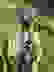 item-102492175=5