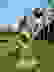 item-102492175=6