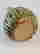 item-102492181=3