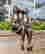 item-102492190=3