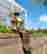 item-102492205=3