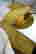 item-102492267=12