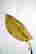 item-102492267=2