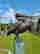 item-102492276=2