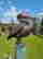 item-102492276=3