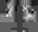 item-102492300=7