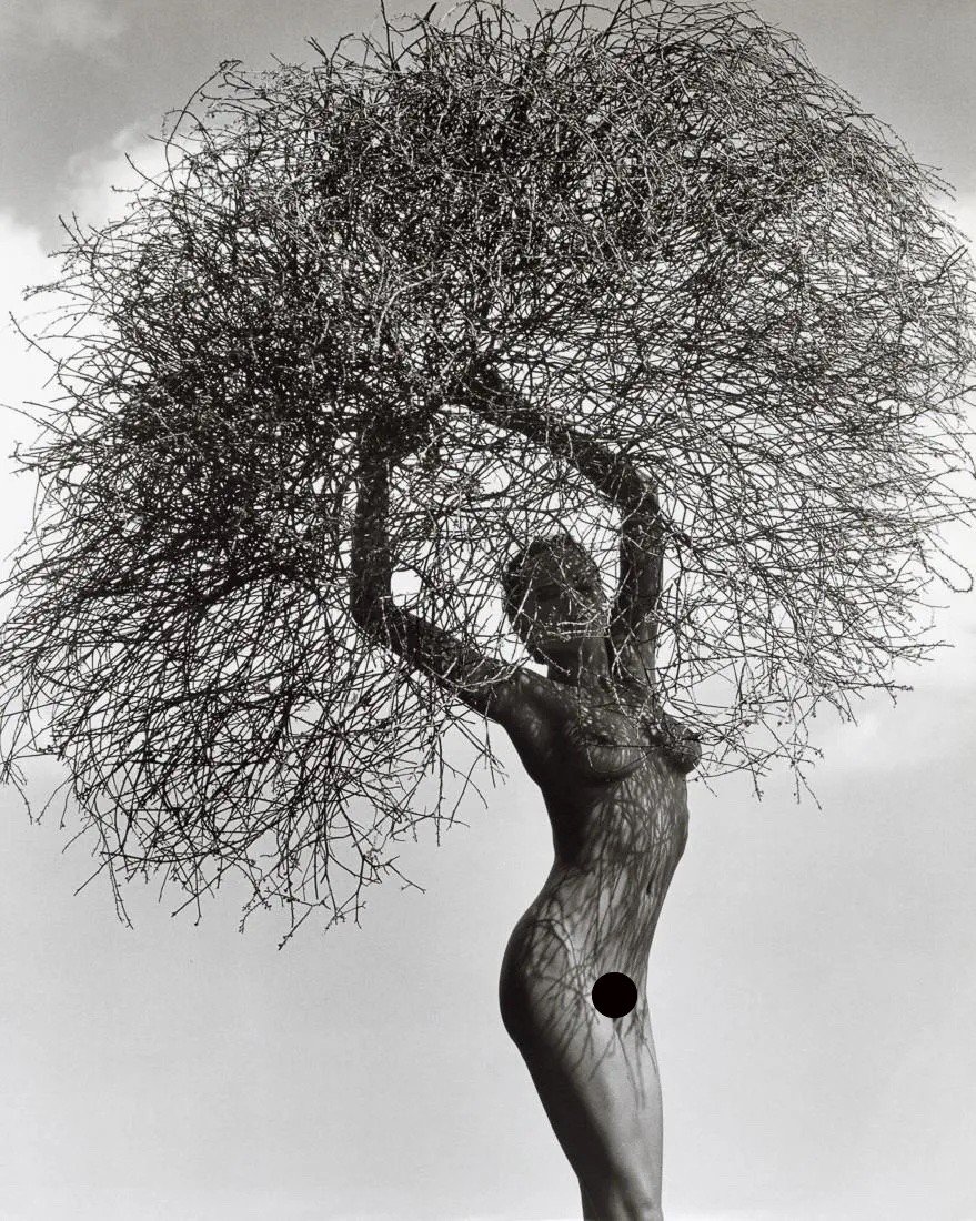 HERB RITTS - Neith with Tumbleweed, Paradise Cove: Artist: HERB RITTS Title: Neith with Tumbleweed, Paradise Cove, 1986 Medium: Photo Litho, 1996, USA Dimensions: 11.1x13.9" Description: Heat Wax Mounted on 14x18" Conservation Board Artist Bio: Herb R
