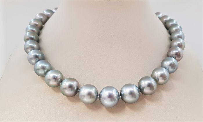 Large 11x14.8mm Metallic Silvery Green Round Tahitian (1 of 12)