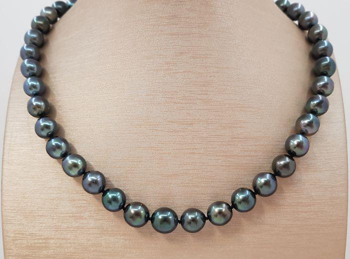 9x11 mm Shimmering Tahitian Pearls - 14 kt. Gold -: Title: 9x11 mm Shimmering Tahitian Pearls - 14 kt. Gold - Necklace Description: A nice pearl necklace, made with oval Tahitian pearls, and completed with an elegant clasp in 14k white gold. Tahitian p