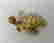 item-102555749=6