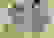 item-102558319=7