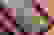 item-102558767=4