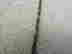 item-102567595=5