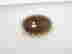 item-102567596=3