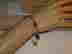 item-102567599=6