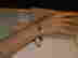 item-102567599=7