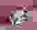 item-102567966=5
