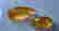 item-102568978=2