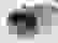 item-102569780=4