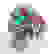 item-102582804=7