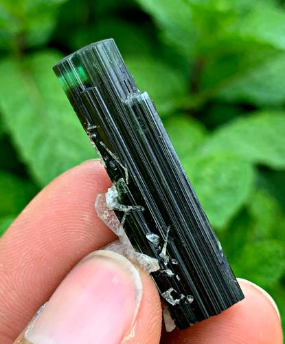 8 Gram Beautiful Natural Touramline Crystal: Title: 8 Gram Beautiful Natural Touramline Crystal Treatment: Natural Weight: 8 Gram Size/Dimensions: 36x15x9 mm Origin: Pakistan Reserve: $15.00 Shipping: Domestic: Flat-rate of $15.00 to anywhere wi