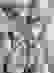 item-102869236=3