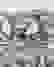 item-102869252=2
