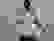 item-102869862=3