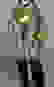 item-102869875=5