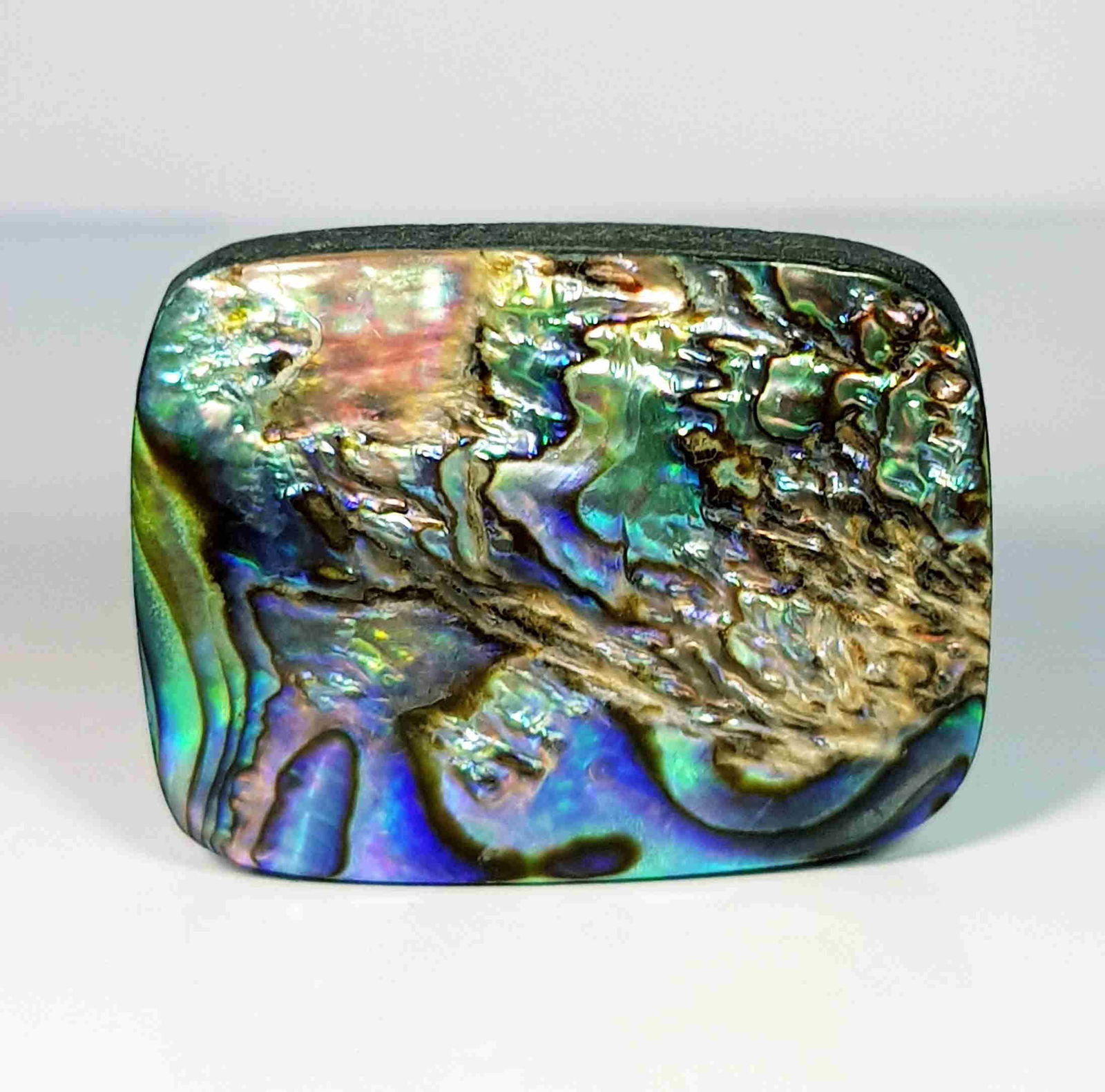 34.95 ct Australian Abalon (1 of 4)